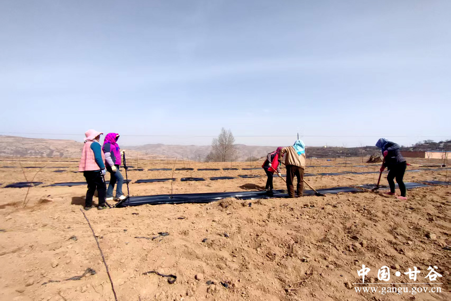 1743667044280083466.jpg 1743667044280083466.jpg