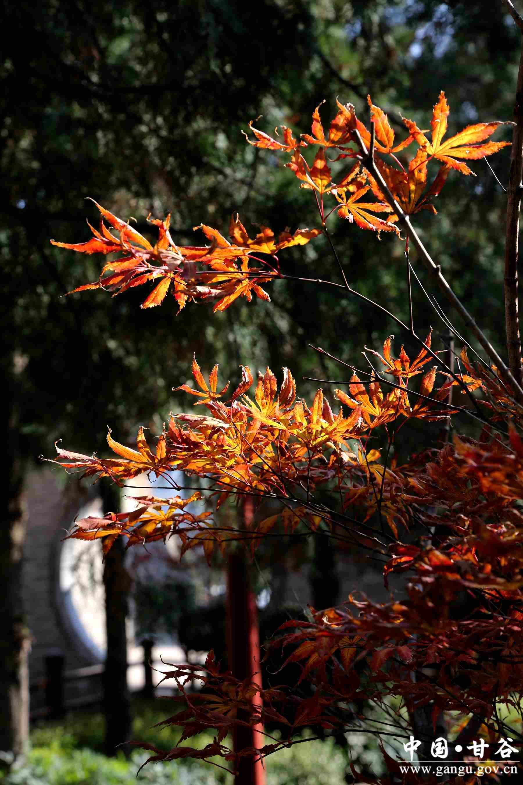 靳宝生 (11) 靳宝生 (11)