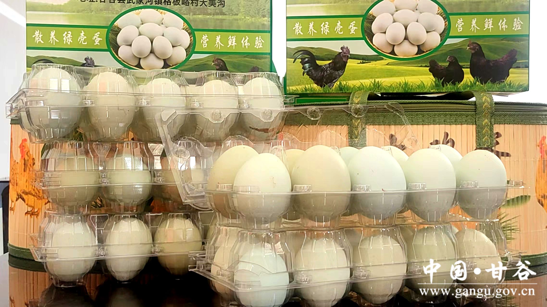 1719220714847035619.jpg 1719220714847035619.jpg