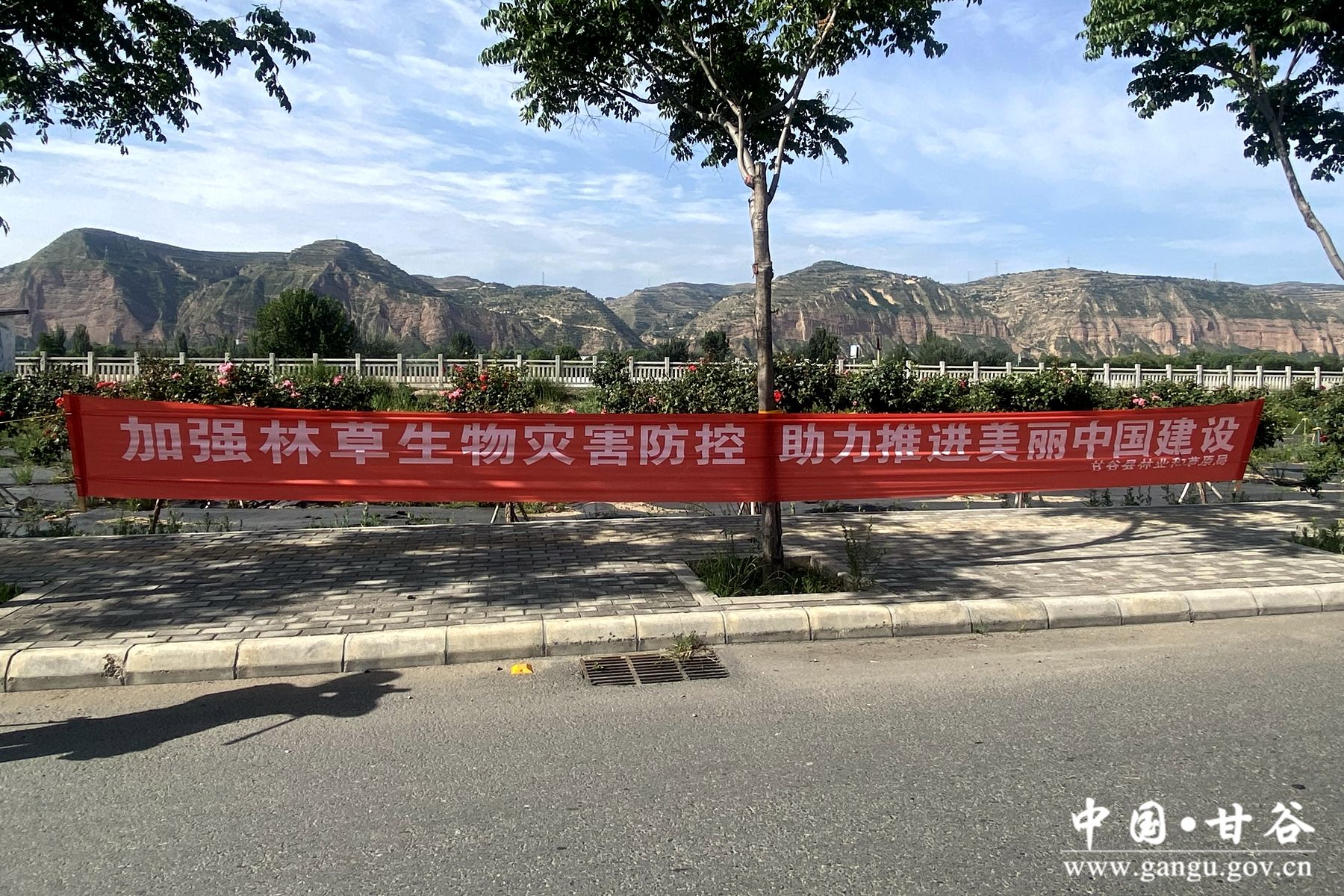 00c5f5eb4e94bdf03e1dfa1e31d543a_副本 00c5f5eb4e94bdf03e1dfa1e31d543a_副本