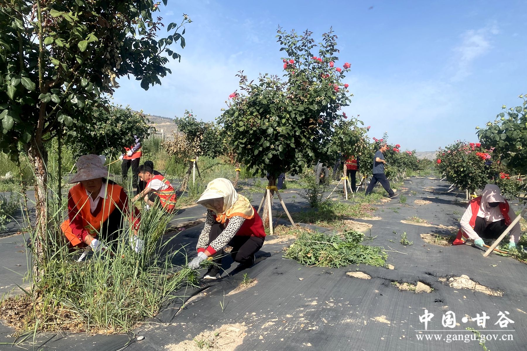 0775c3ea9d6bf35fa762bbe970be797_副本 0775c3ea9d6bf35fa762bbe970be797_副本