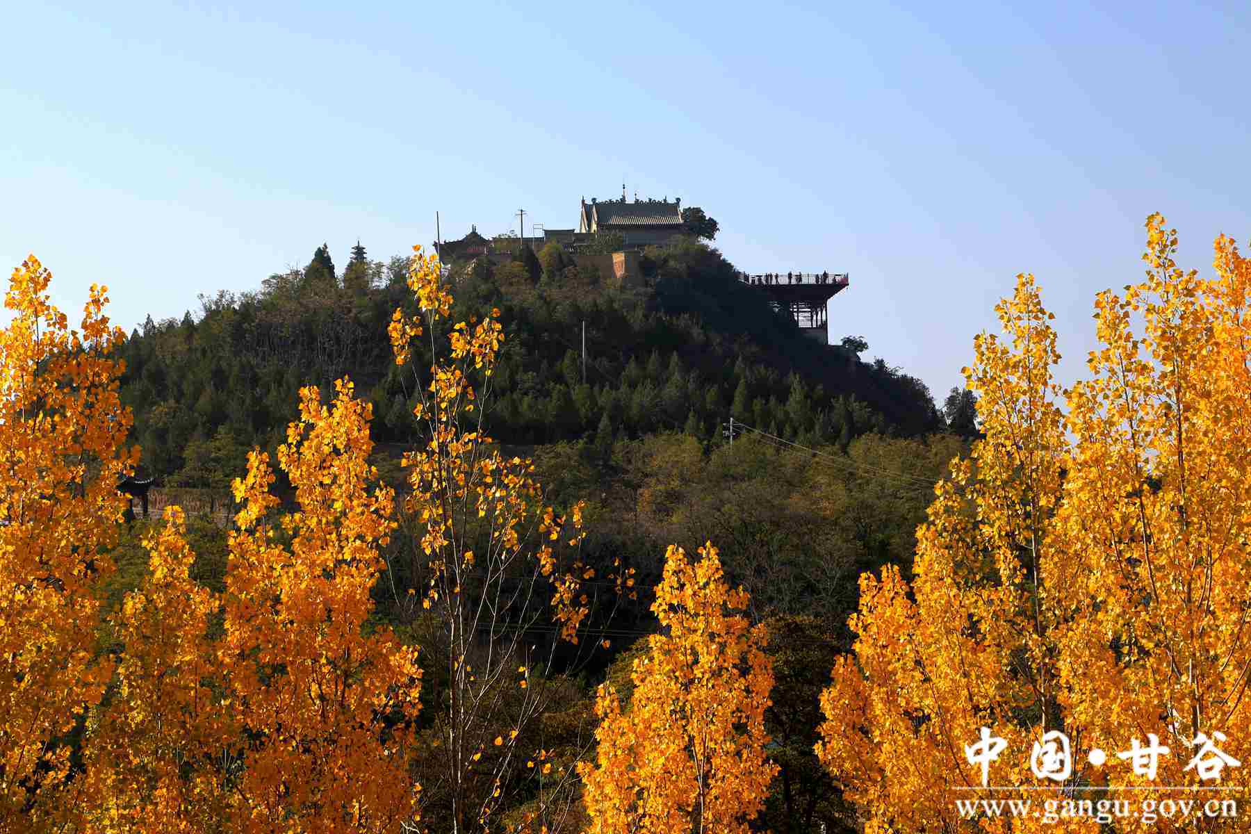 靳宝生 (13) 靳宝生 (13)