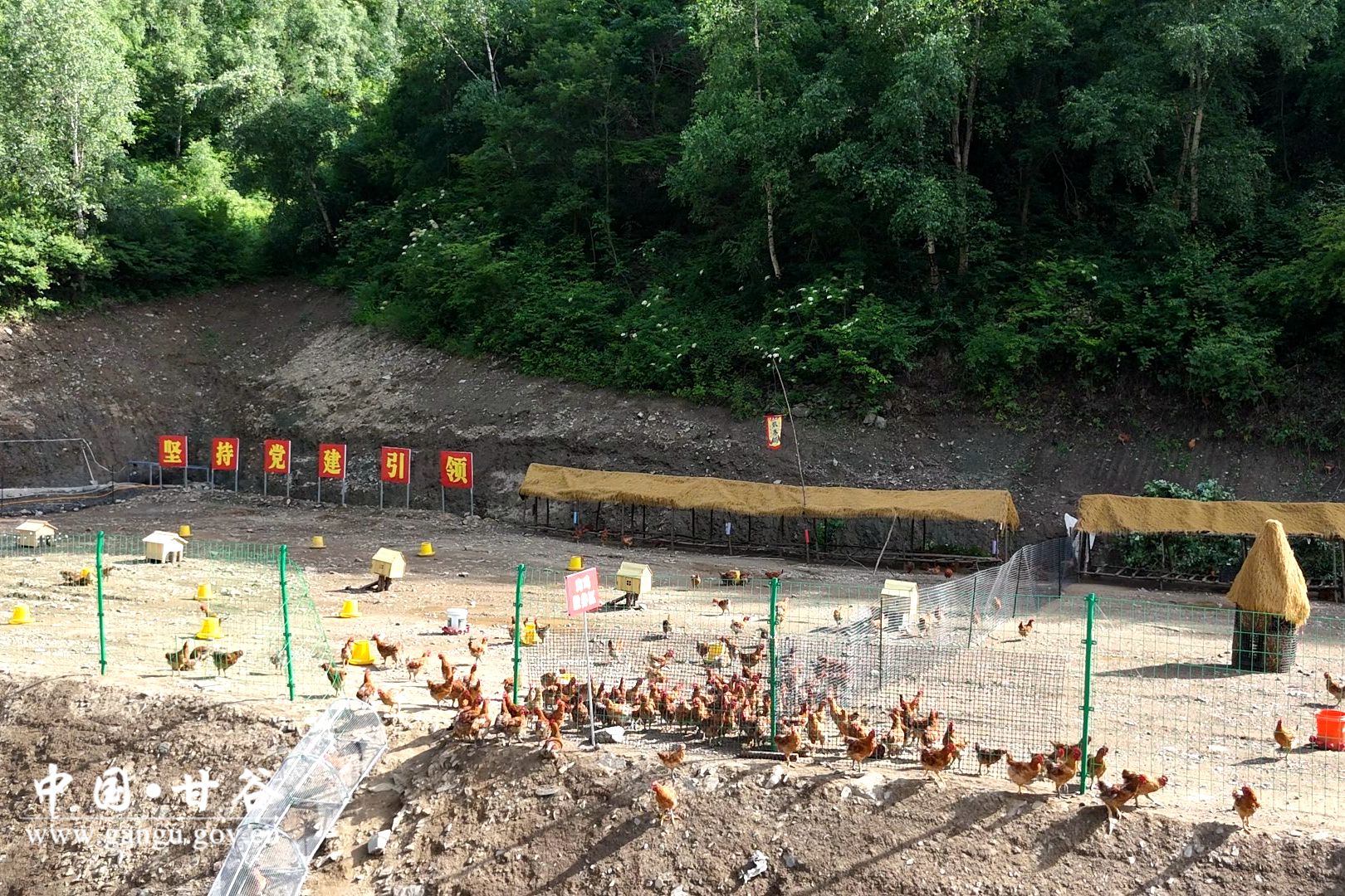 1719220423696089733.jpg 1719220423696089733.jpg