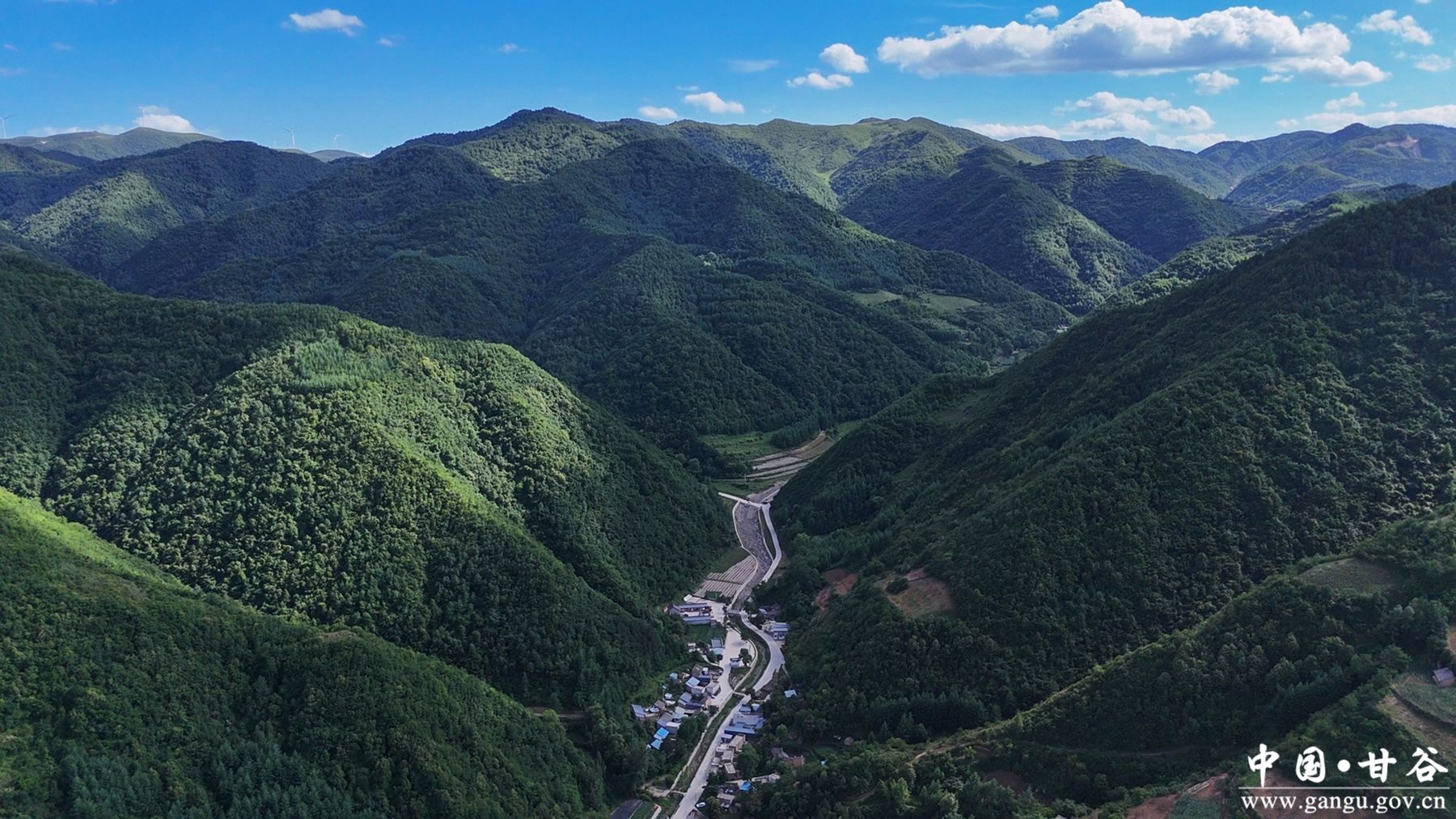 三等奖《绿满武家河》作者:王永吉 三等奖《绿满武家河》作者:王永吉