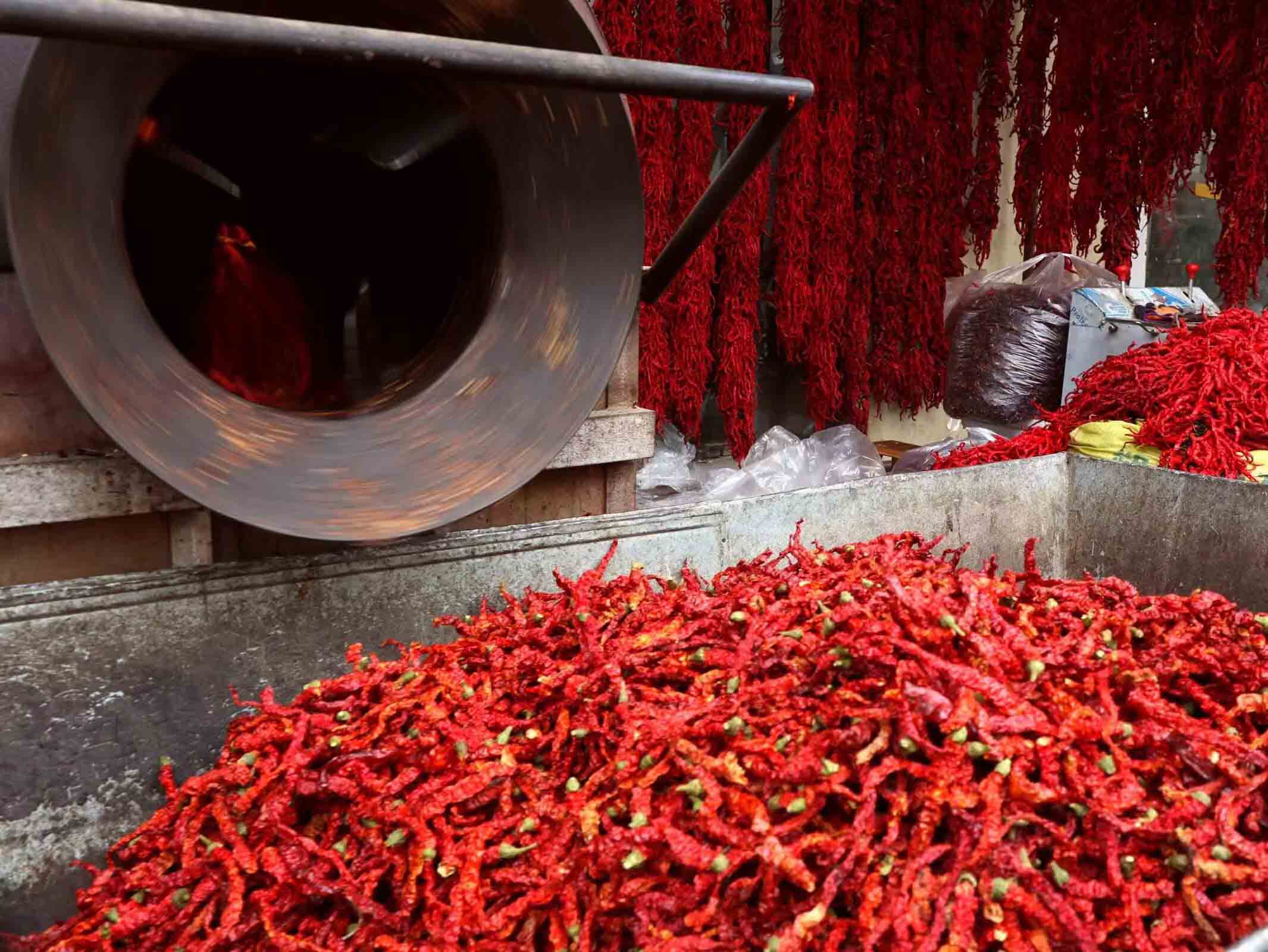 程新芳 (19) 程新芳 (19)