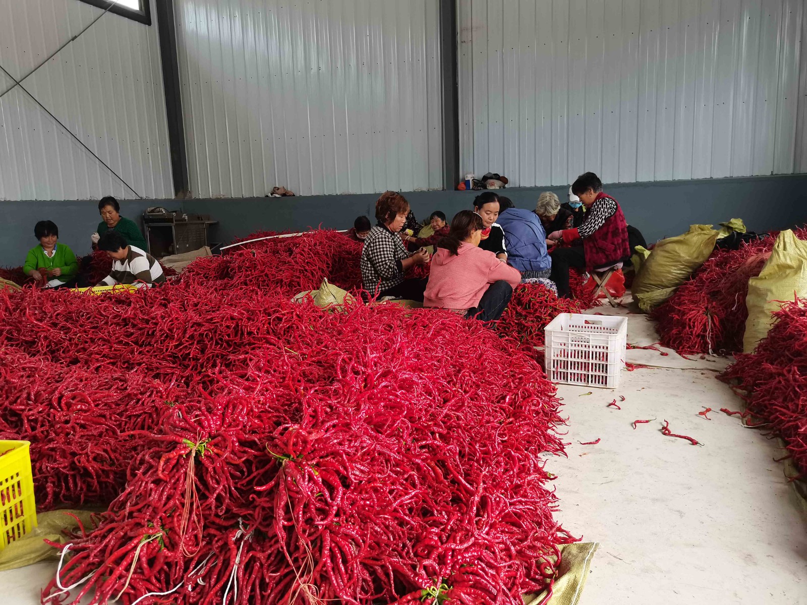 程新芳 (2) 程新芳 (2)