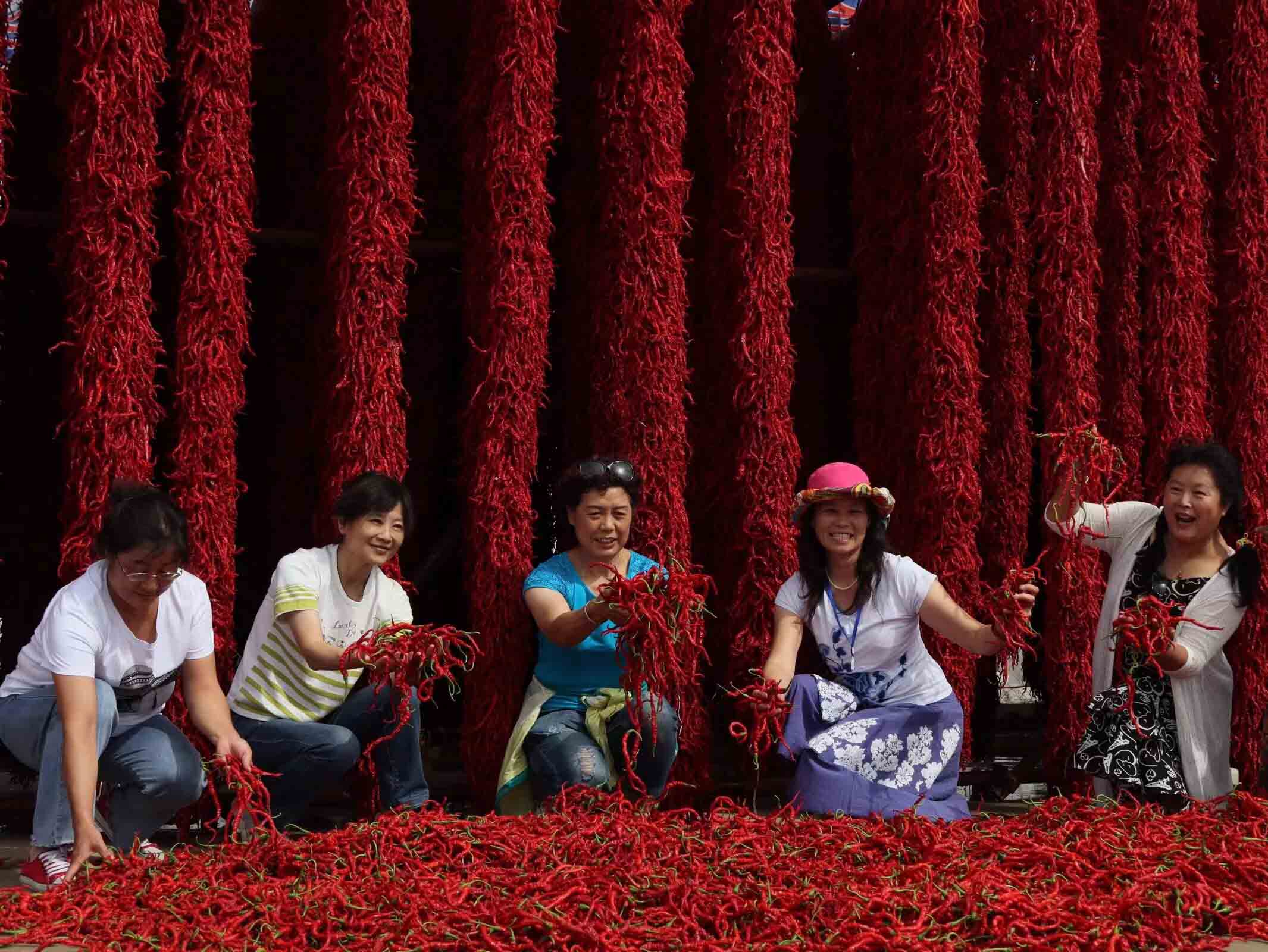 程新芳 (20) 程新芳 (20)