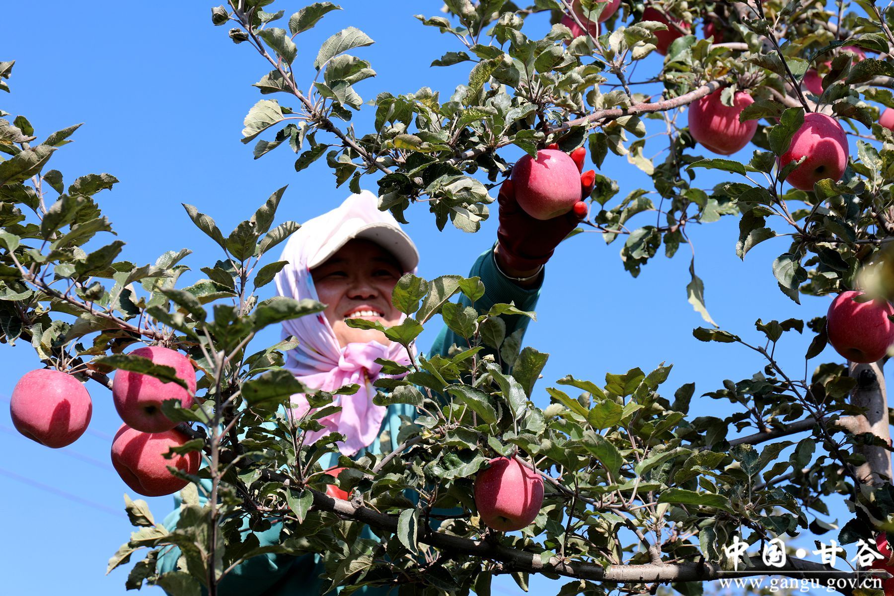 微信图片_20241028151554 微信图片_20241028151554