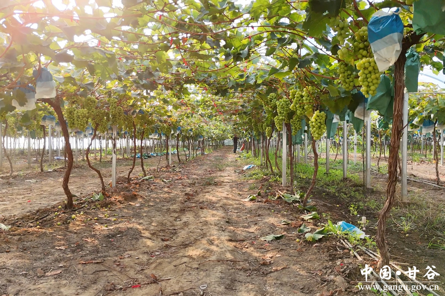 微信图片_20251014113545_5_215 微信图片_20251014113545_5_215