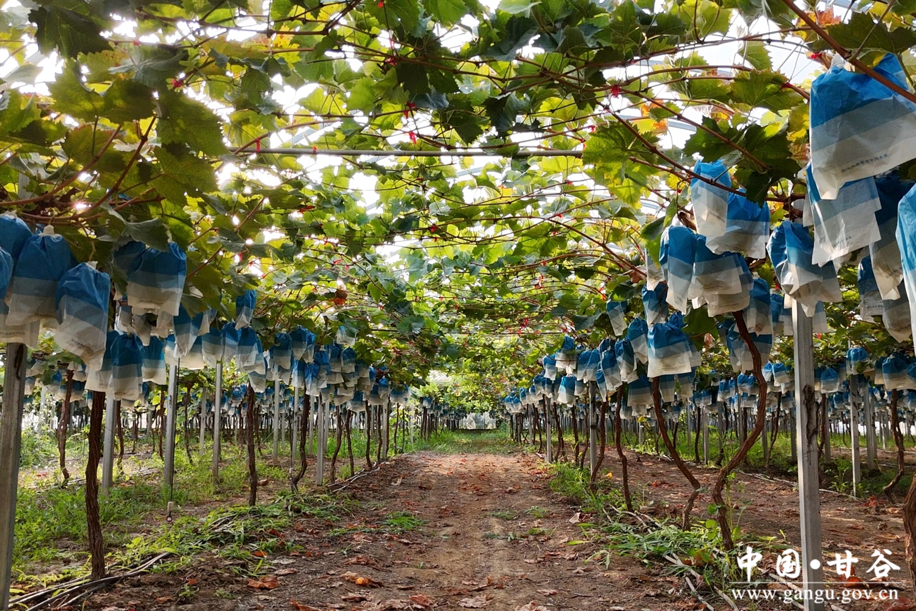 微信图片_20251014113552_8_215 微信图片_20251014113552_8_215