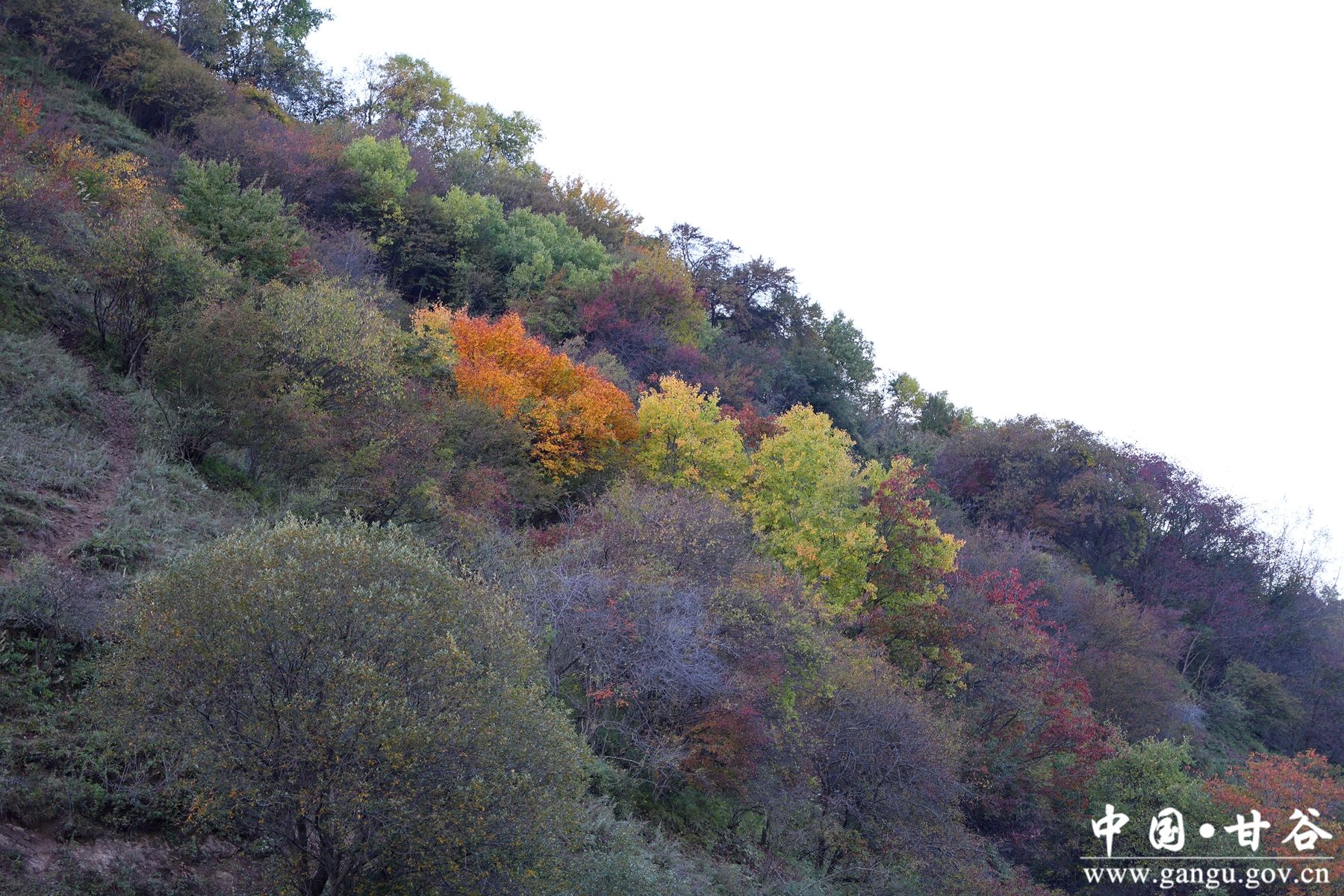 B50A1557_副本 B50A1557_副本