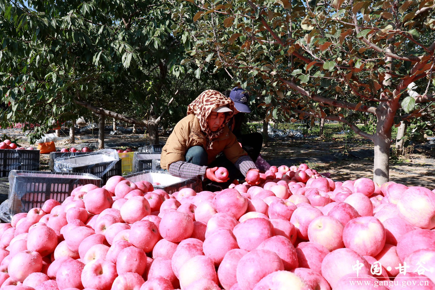 微信图片_20241028151812 微信图片_20241028151812