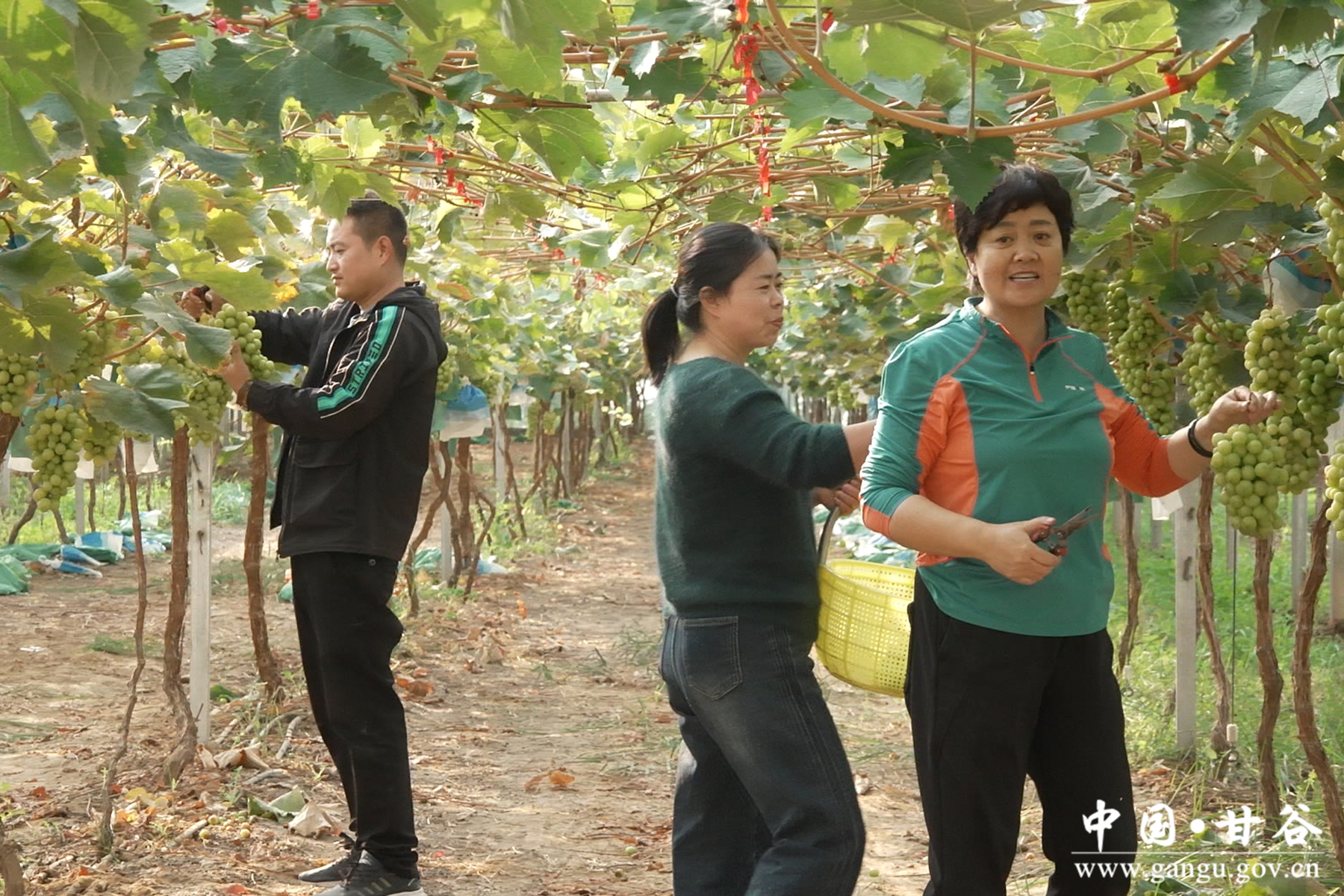 微信图片_20251014113558_10_215 微信图片_20251014113558_10_215