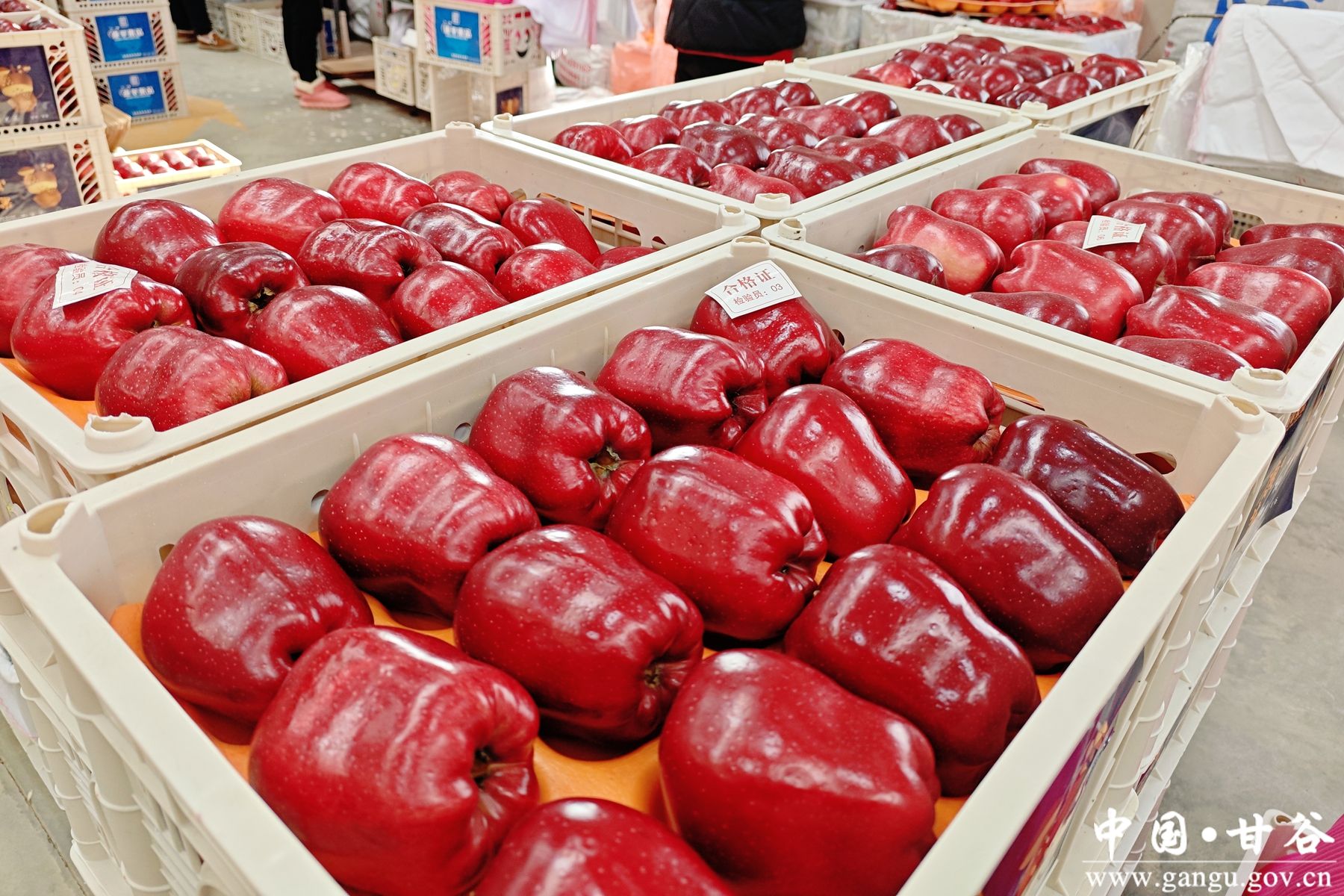 微信图片_20250102103342 微信图片_20250102103342