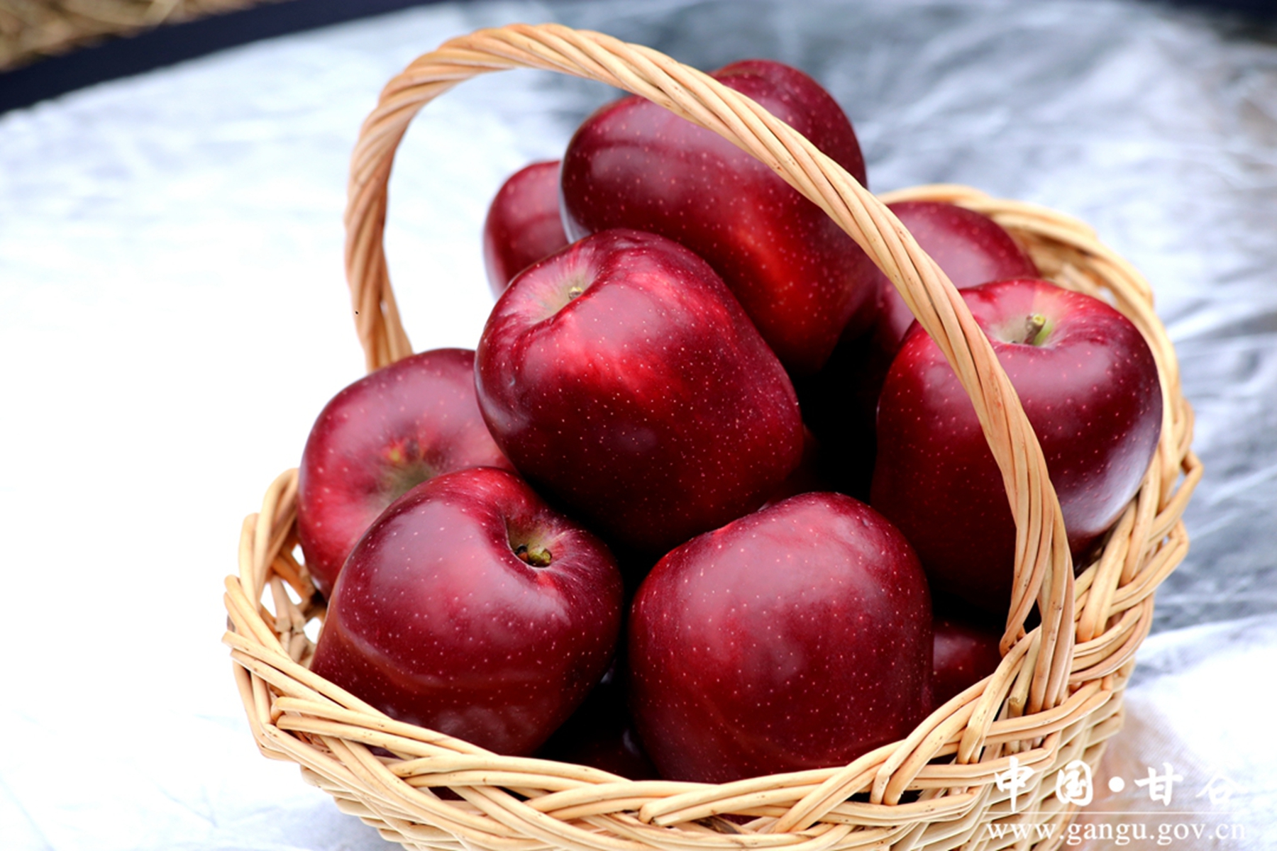 1662533554937056289 1662533554937056289