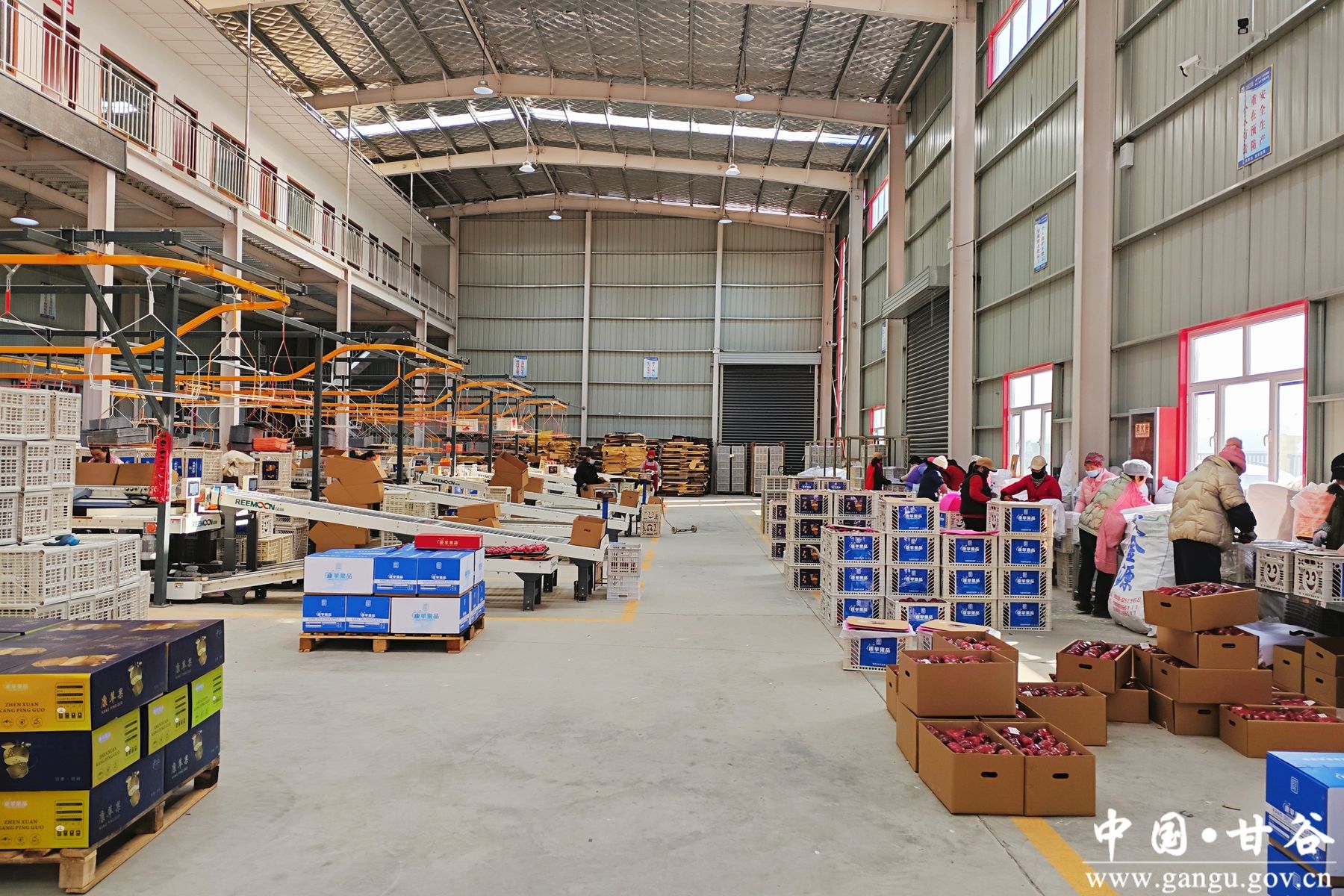 微信图片_20250102103339 微信图片_20250102103339