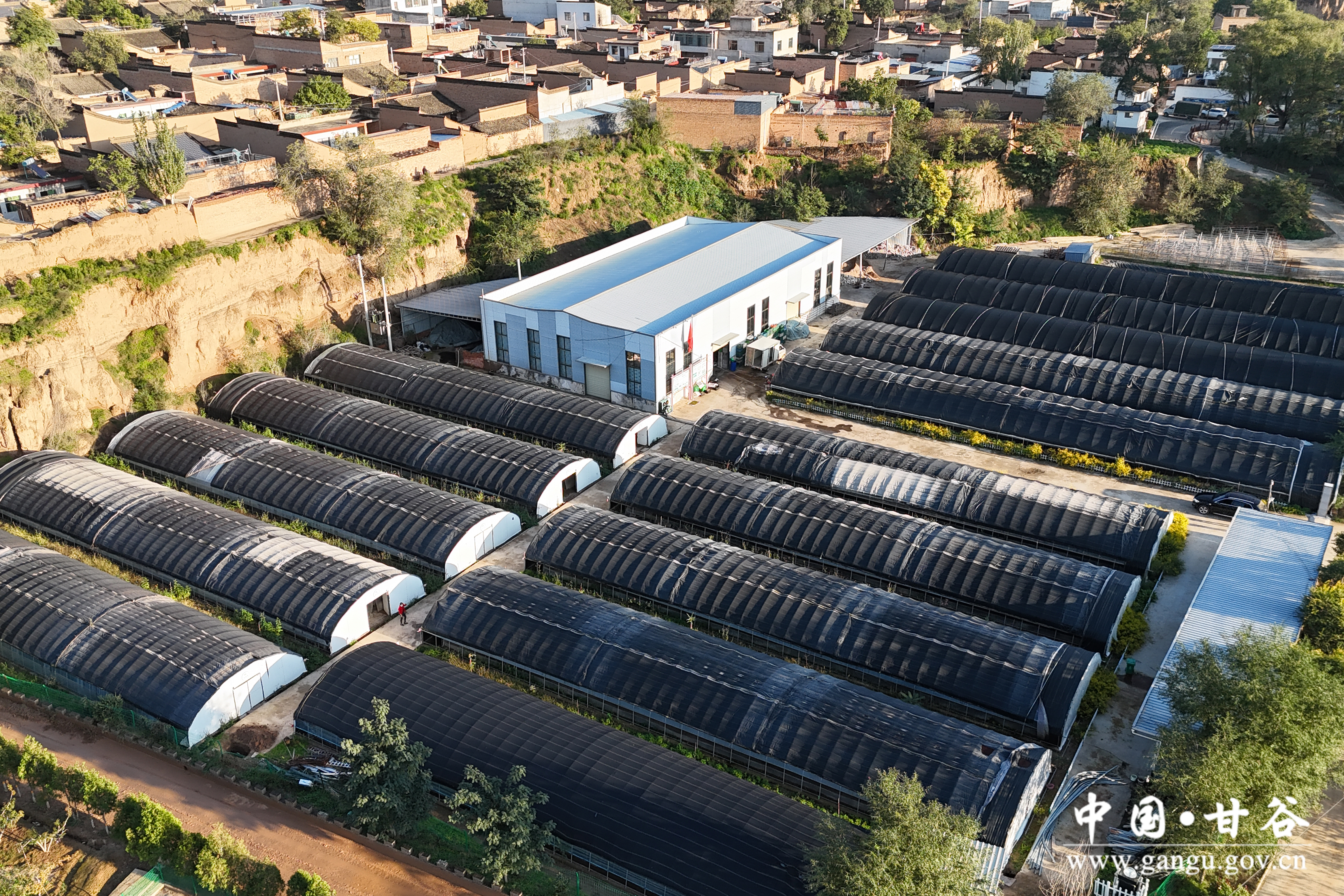 1760408785522028443.jpg 1760408785522028443.jpg