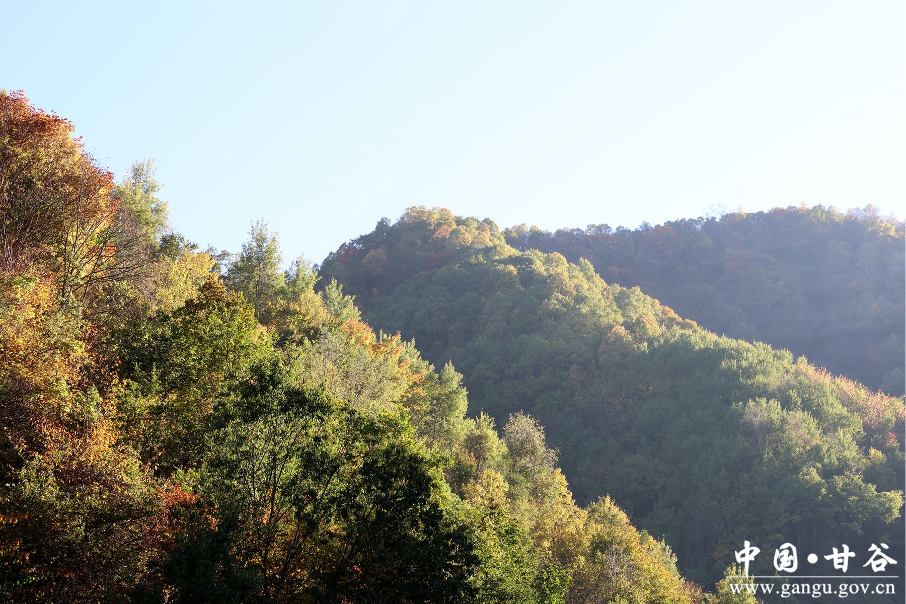 B50A1419_副本 B50A1419_副本