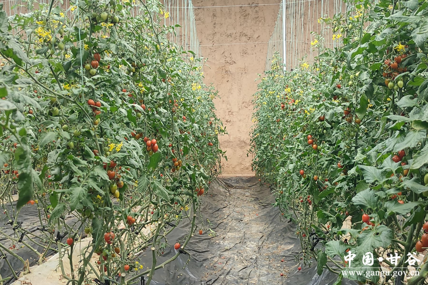 微信图片_20240305100612 微信图片_20240305100612