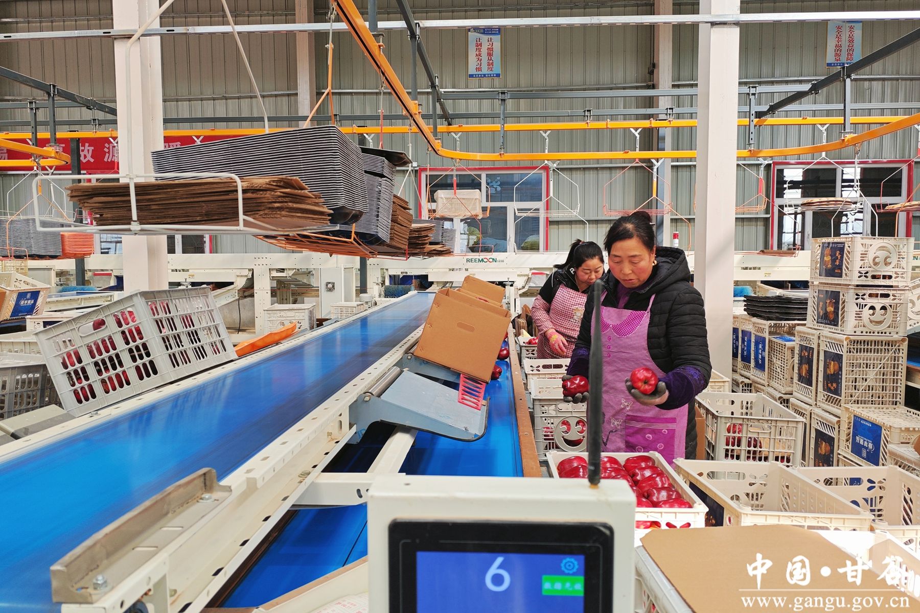 微信图片_20250102103343 微信图片_20250102103343