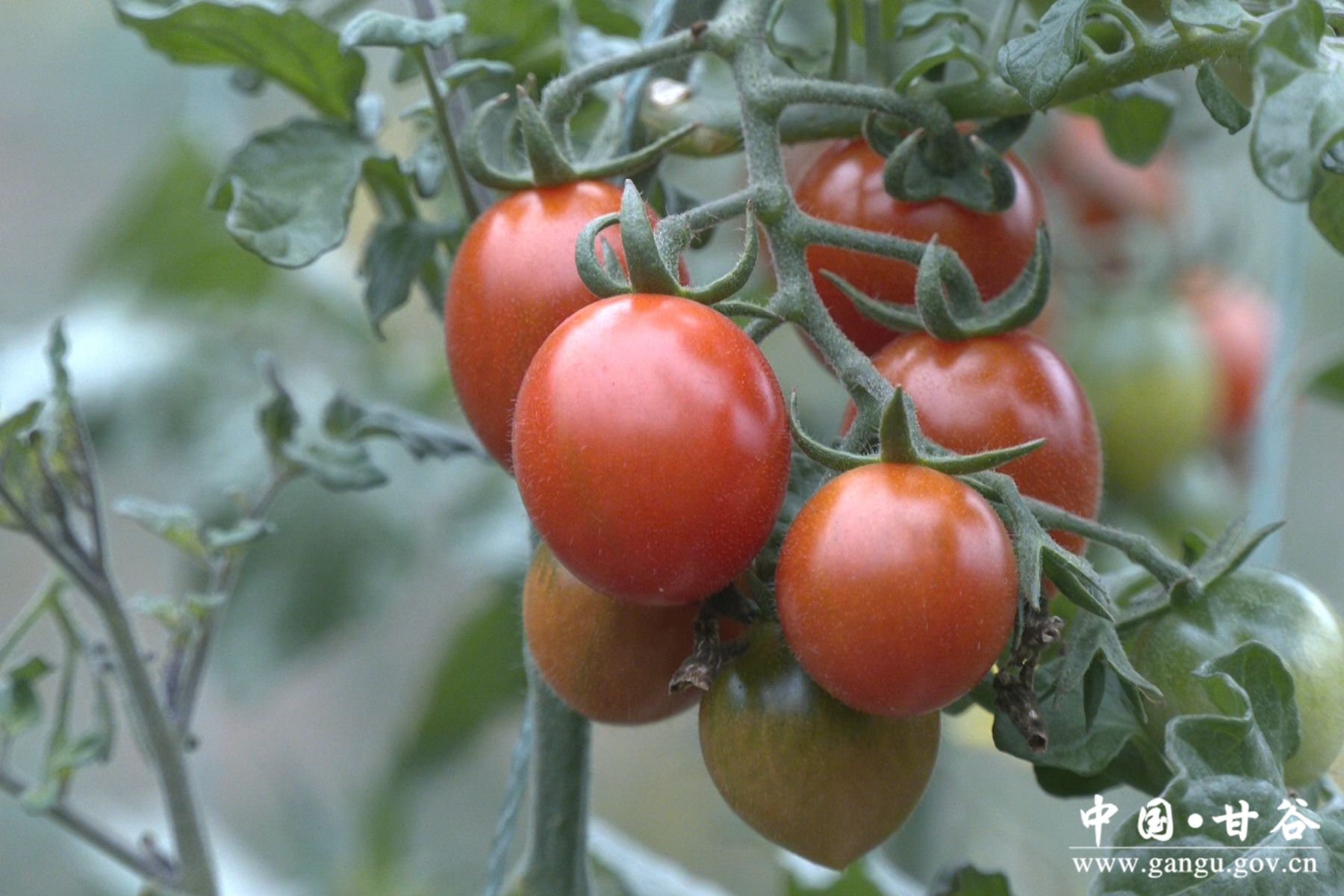 微信图片_20240305100557 微信图片_20240305100557