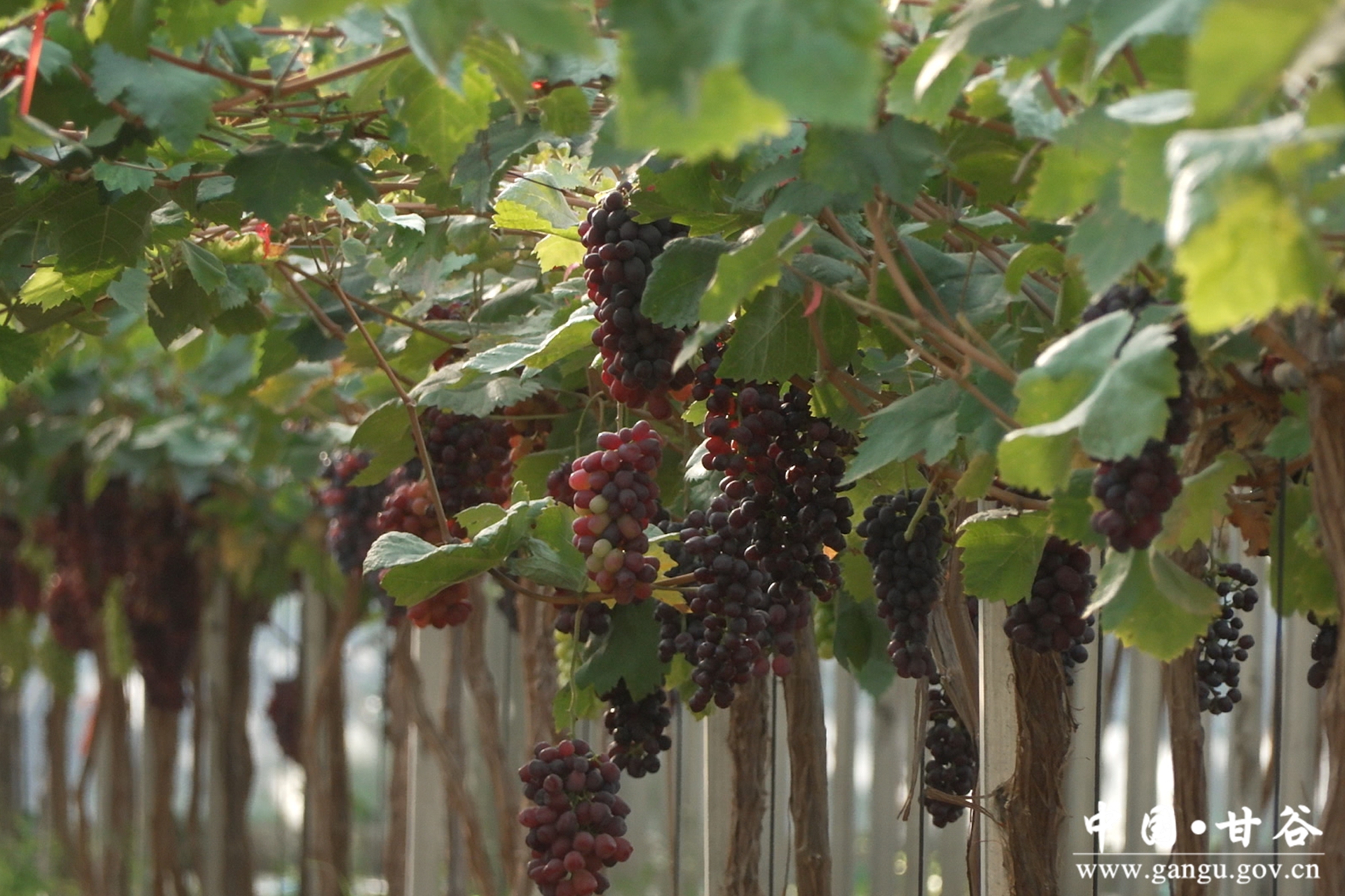 微信图片_20251014113549_7_215 微信图片_20251014113549_7_215