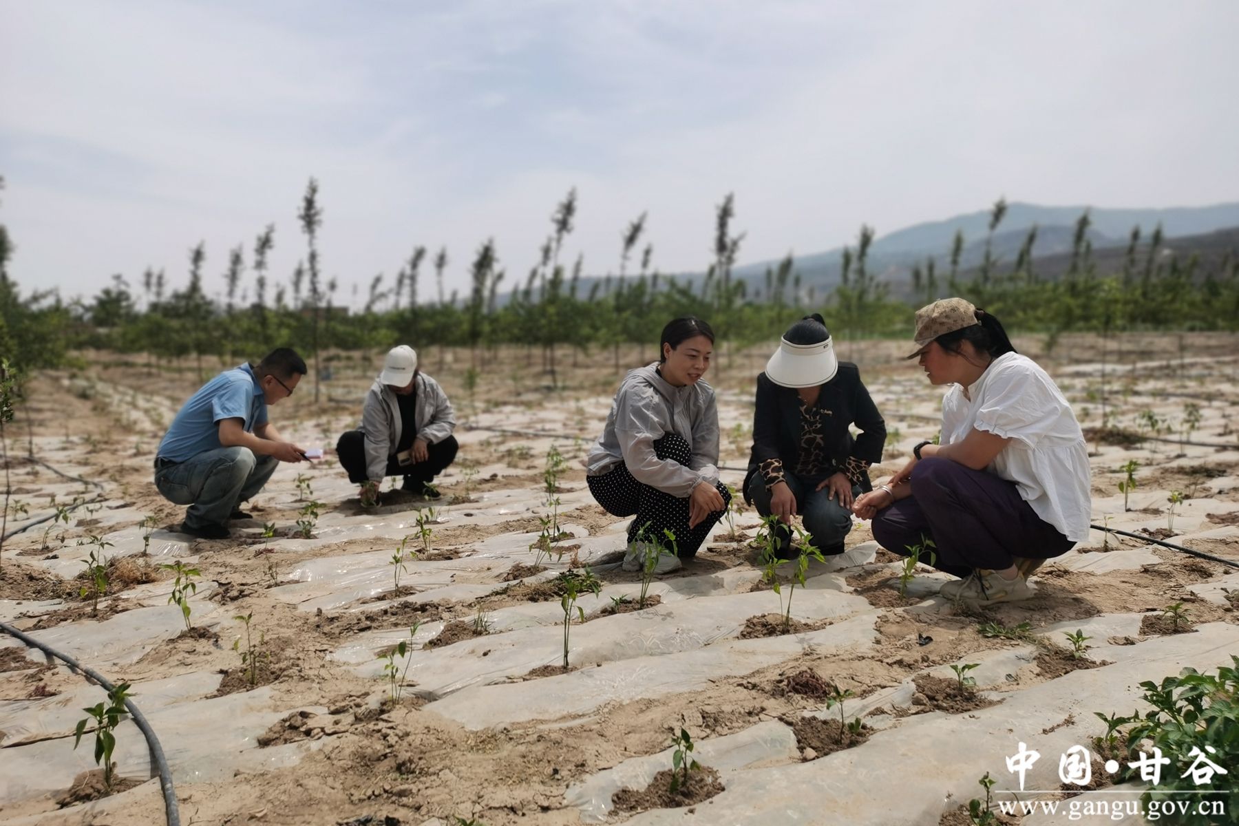 微信图片_20250519150402 微信图片_20250519150402