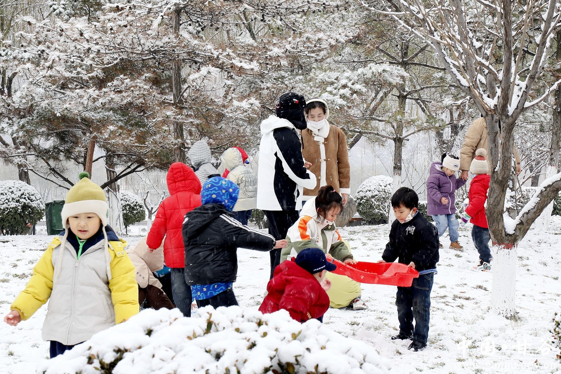 _MG_3220_副本 _MG_3220_副本