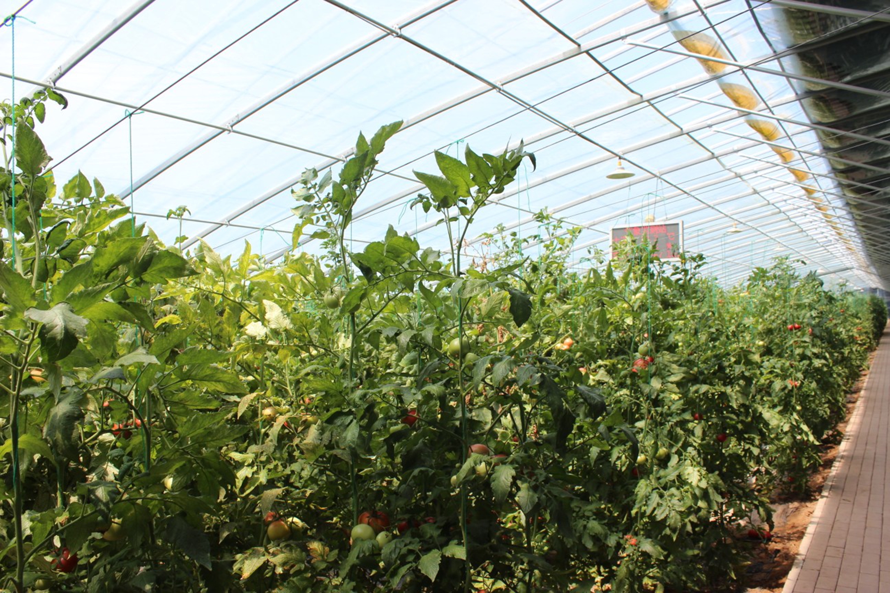 0812471f358b4c7a94828eca1815e094 0812471f358b4c7a94828eca1815e094