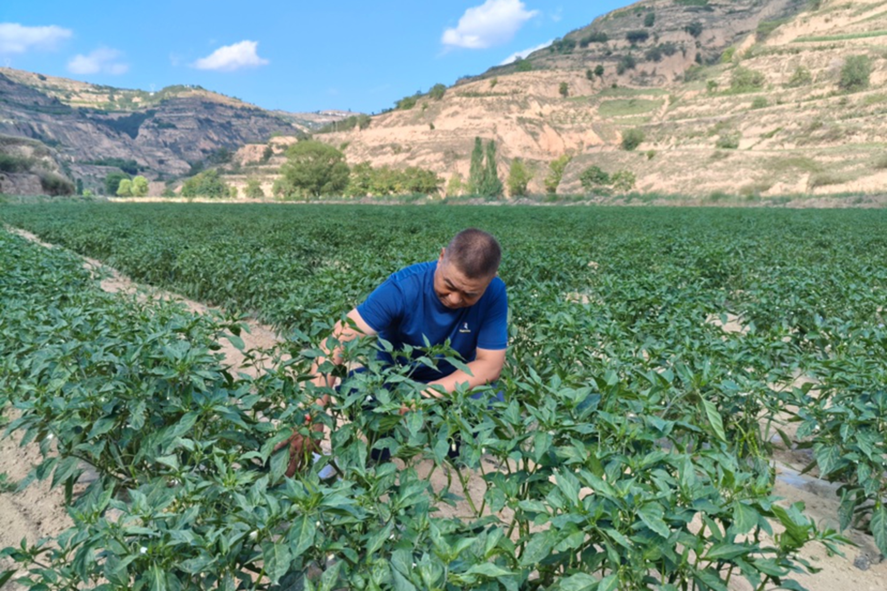 265bfeec5d5248538f5bf59de039cc82 265bfeec5d5248538f5bf59de039cc82