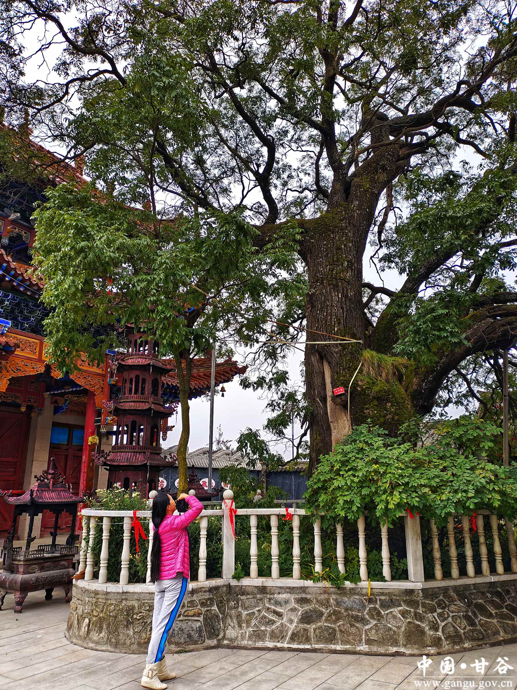 谢有胜 (9) 谢有胜 (9)