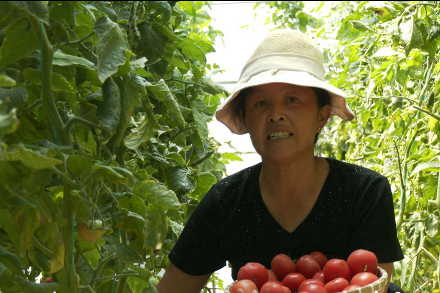 d426283d434c47fdba35d3cbb2081a80 d426283d434c47fdba35d3cbb2081a80