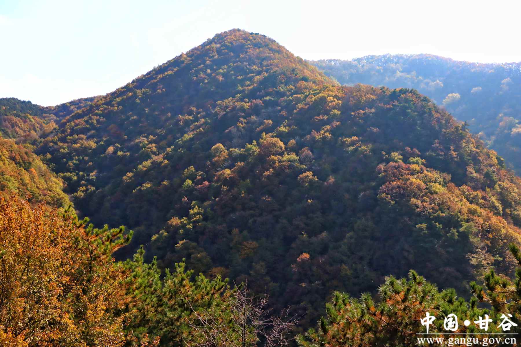 谢有胜 (19) 谢有胜 (19)