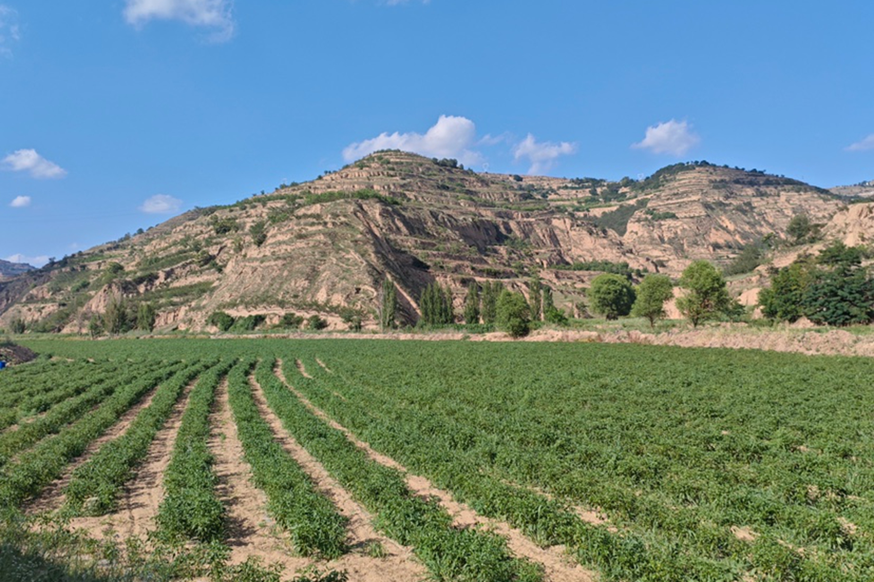 eafd79ad82d848398ae13bac36709d2d eafd79ad82d848398ae13bac36709d2d