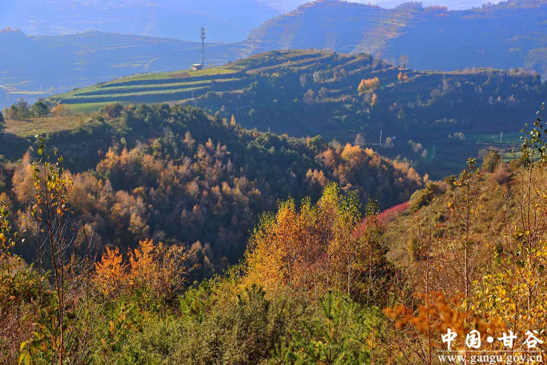 谢有胜 (14) 谢有胜 (14)