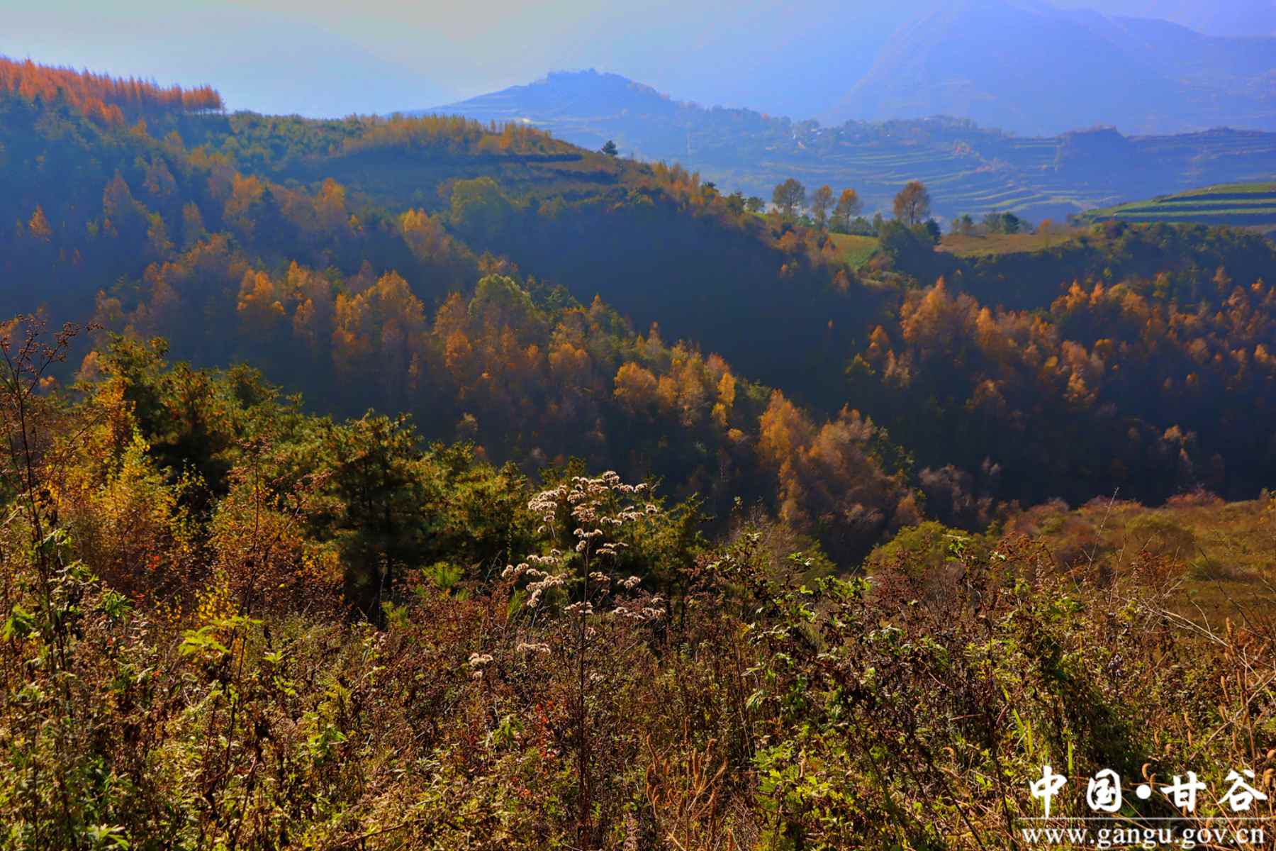 谢有胜 (17) 谢有胜 (17)