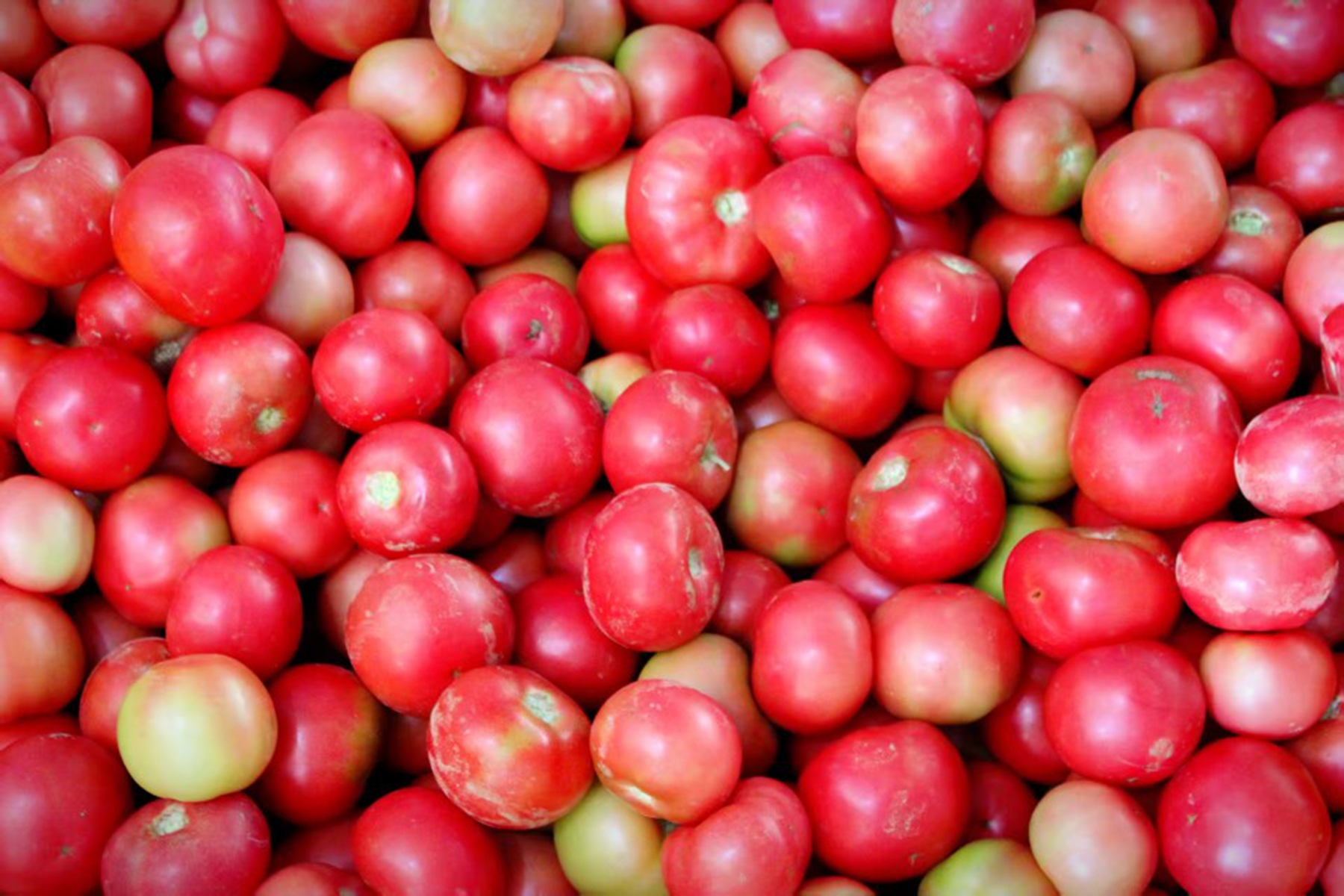 f036cc44833543b4b6f428bed39543fd f036cc44833543b4b6f428bed39543fd