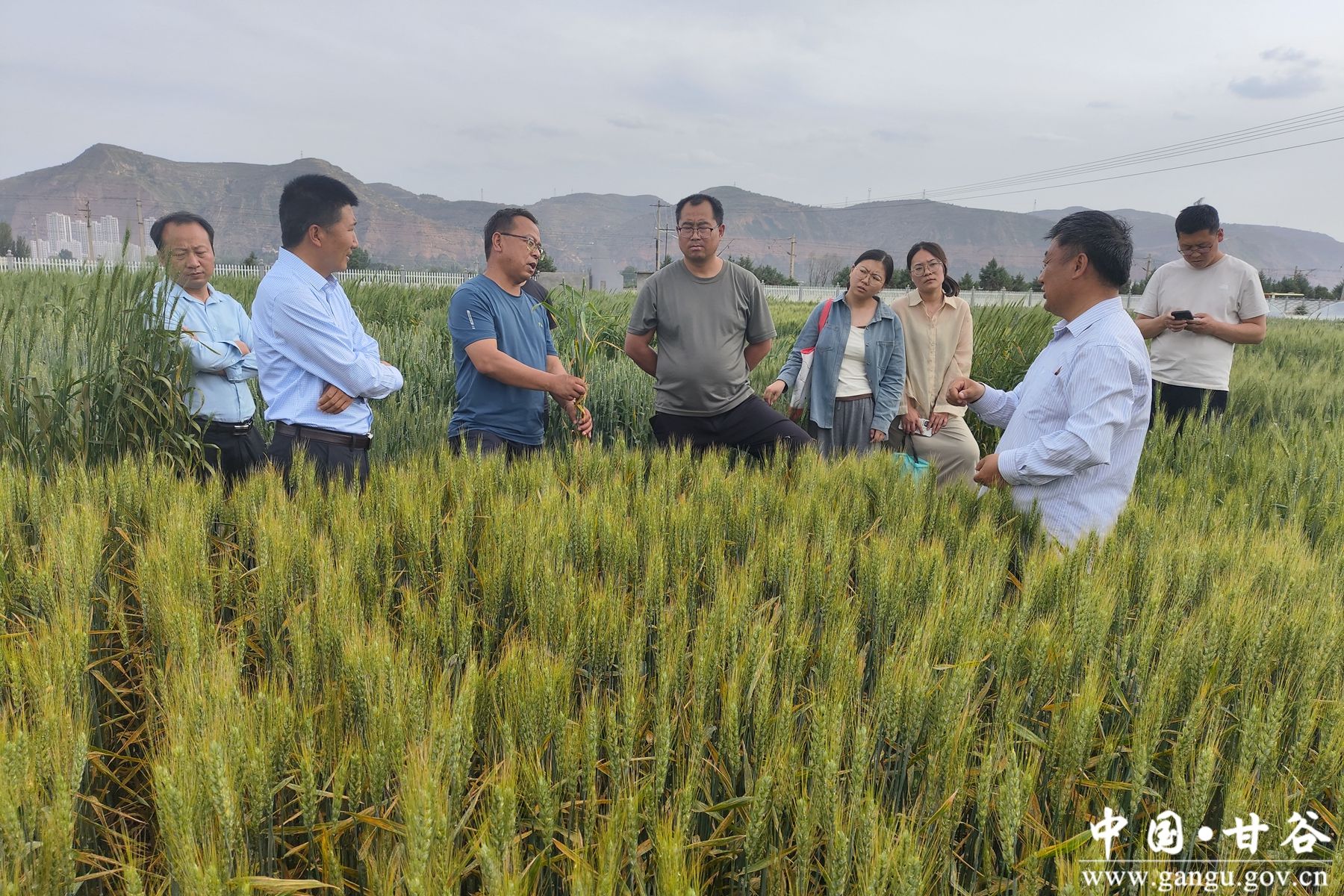 微信图片_20240521095512 微信图片_20240521095512