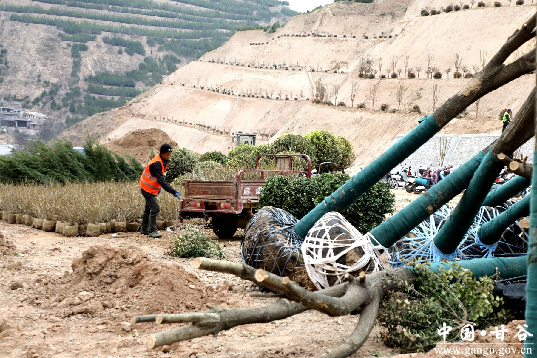 微信图片_20260312142801_1029_54 微信图片_20260312142801_1029_54