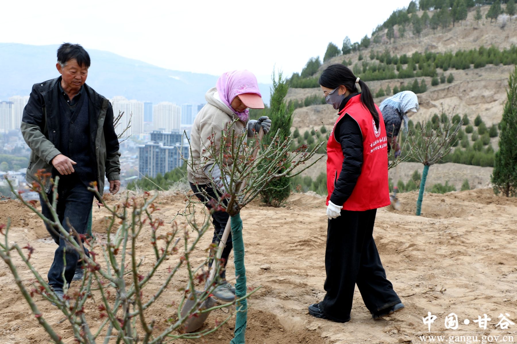 微信图片_20260312142801_1028_54 微信图片_20260312142801_1028_54