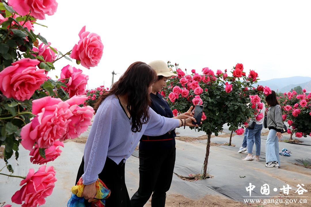 virtual_attach_file (10)