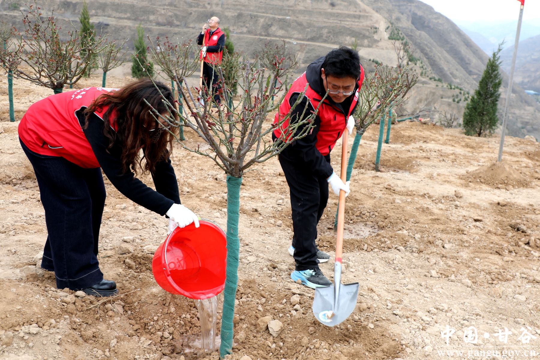 微信图片_20260312142800_1025_54 微信图片_20260312142800_1025_54