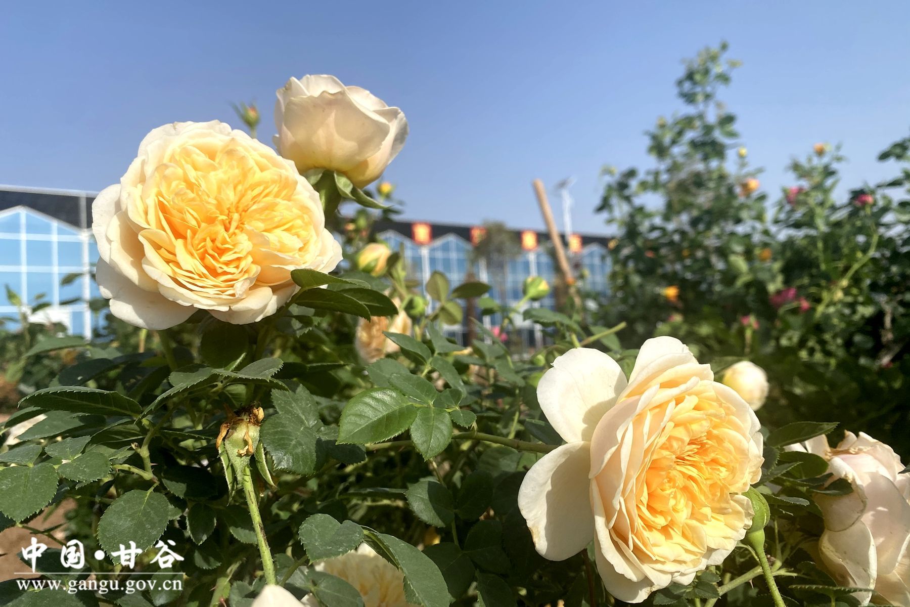 virtual_attach_file (1) virtual_attach_file (1)