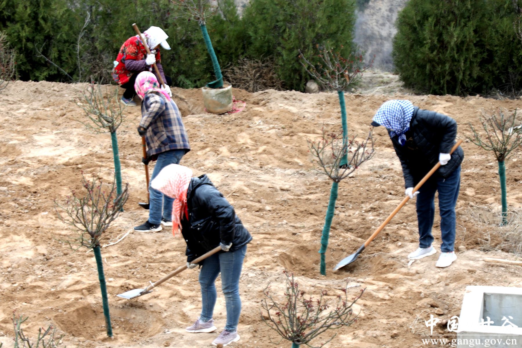 微信图片_20260312142800_1026_54 微信图片_20260312142800_1026_54