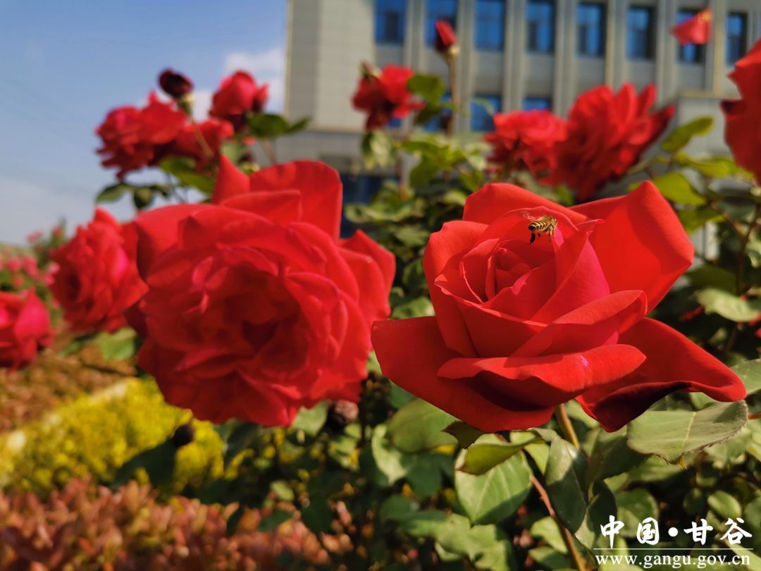 virtual_attach_file (5) virtual_attach_file (5)