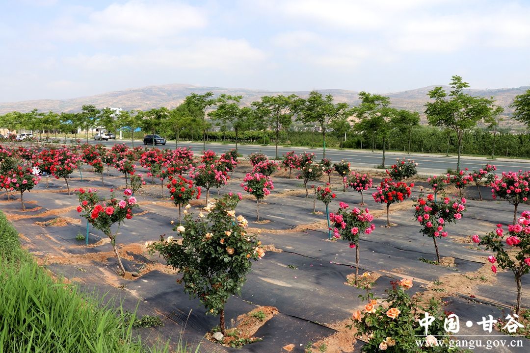 virtual_attach_file (11)