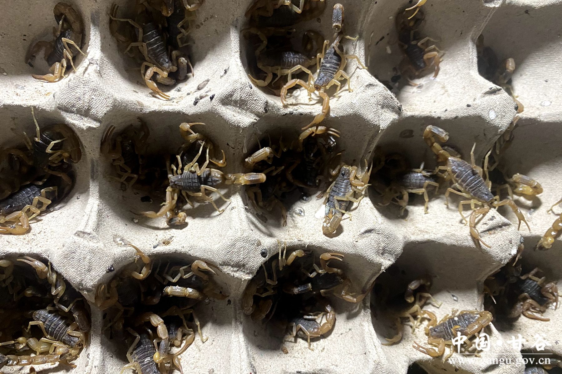 ed413e404dd378f8336acad112aed92 ed413e404dd378f8336acad112aed92