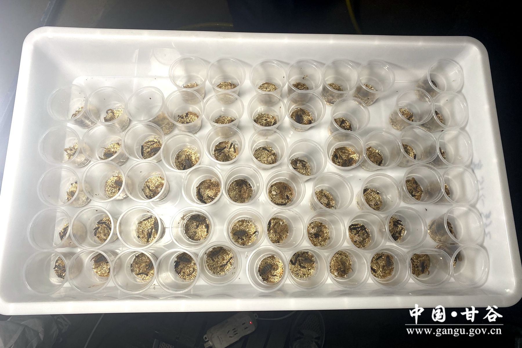 b5bfac571a33dacd573144e7723fb71 b5bfac571a33dacd573144e7723fb71