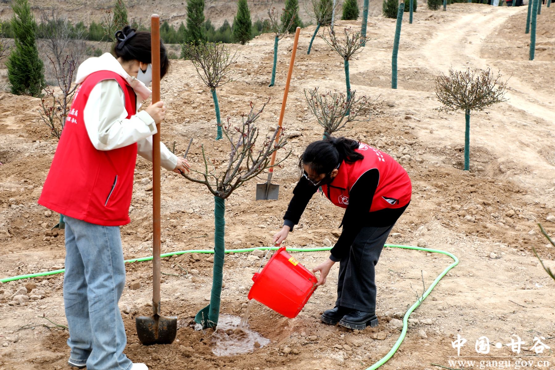 微信图片_20260312142801_1027_54 微信图片_20260312142801_1027_54