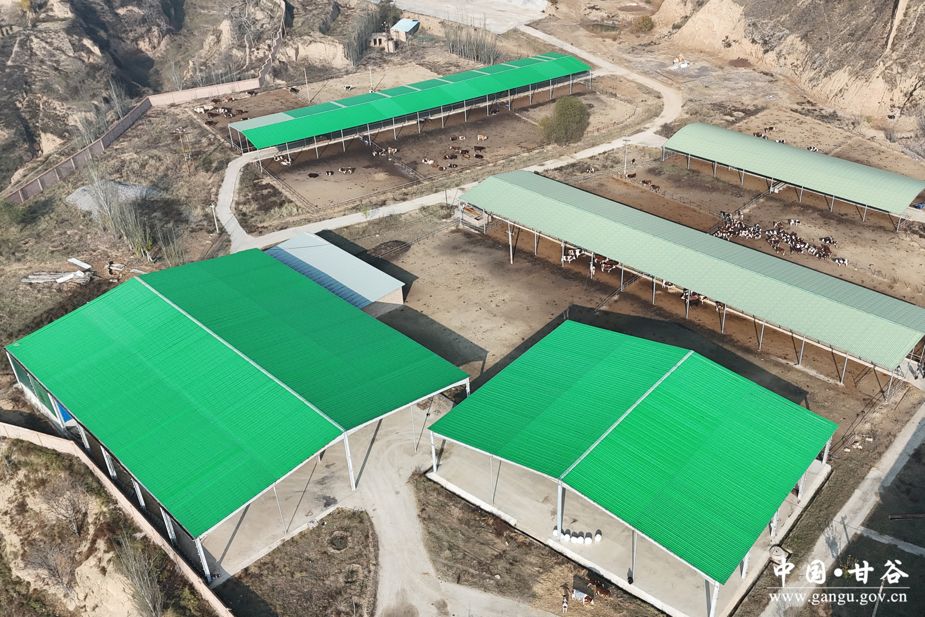 微信图片_20241121175541 微信图片_20241121175541